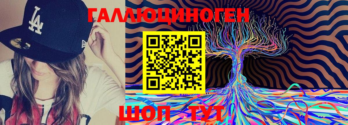 Жуковский  закладка  Вход с VPN  Псилоцибиновые грибы Cubensis 